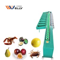 Affordable price fruit lemon washing and sorting machine/ frozen duck paw grader 6-9 levels